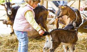 b bimbo Mostra Capretto StudioRDS1