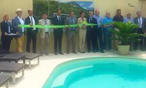 b bls filo verde presentazione