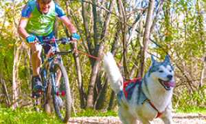 b cani cross Folini gara gattinara1