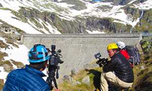 b cingino stambecchi giapponesi