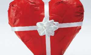 b cuore donazione organi