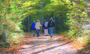 b escursione sentiero montagna