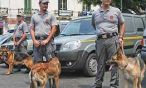 b finanza unita cinofile cani