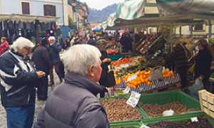 b mercato fiera ezio