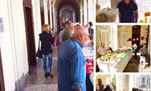 b minerali mostra rosmini 16