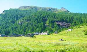 b ok Piana Veglia estate foto di Paolo VAIROLI