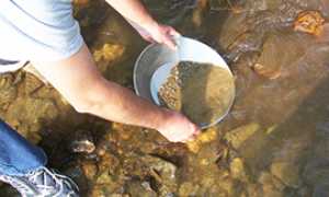 b oro setaccio fiume