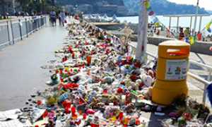 b questa nizza fiori