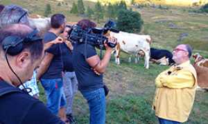 b raspelli mucche antrona tv