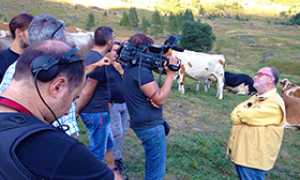 b raspelli mucche antrona tv