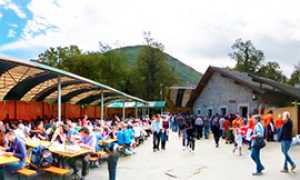 b trontano funghi capannoni