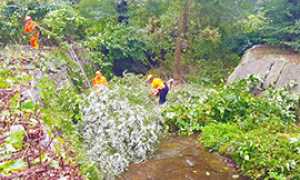 b volontari aib rio bacenetto