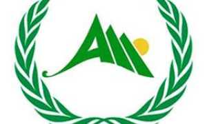 b young academy adward