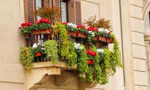 balcone