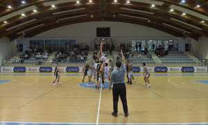 basket barberi b
