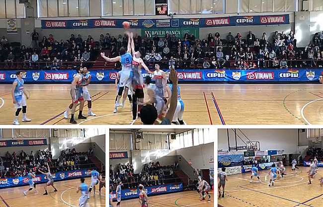 basket vinavil cipir alba mix