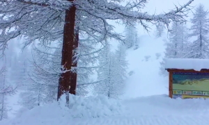 belvedere neve cartello mar 18