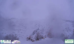 belvedere web cam prima neve 17