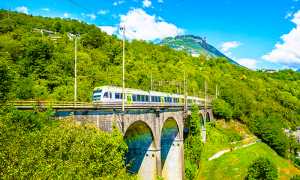 bls treno official