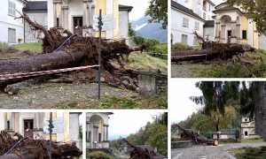 calvario albero alluvione ott 20 mix