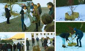 camilla valentini pianta mix