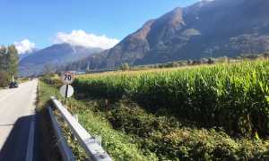 campo rettilineo villa