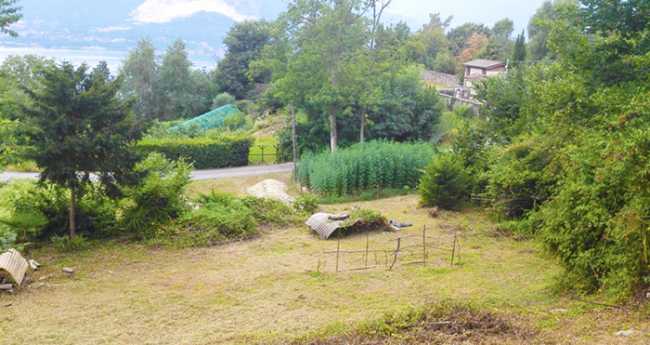 canapa vco giardino lago