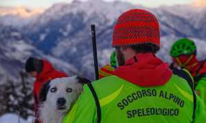 cane neve spalle uomini