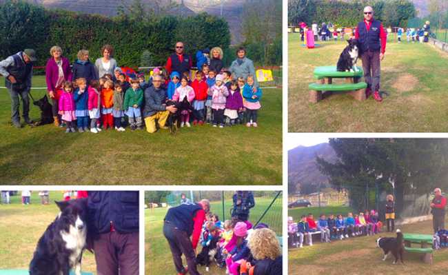 cani beura scuole mix