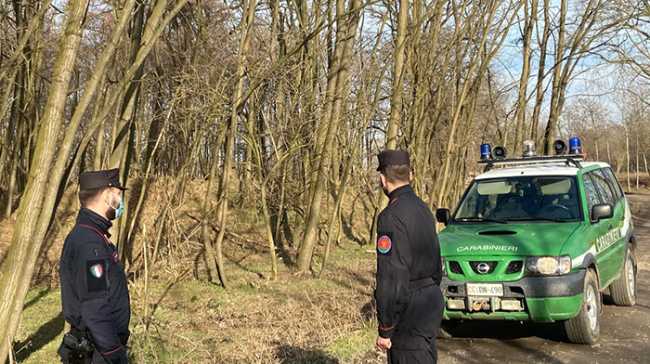 carabinieri forestale auto lato