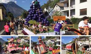 carri festa uva masera 18 mix