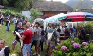 cena cortili anzino post