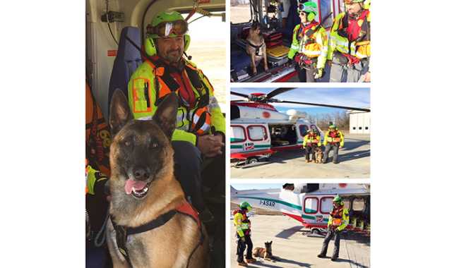 cinofile soccorso mix 2