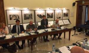 cons com domo 1giugno