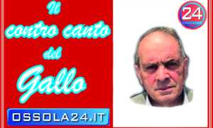 contro canto gallo logo bianco nuovo sito