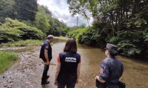 controlli arpa forestali