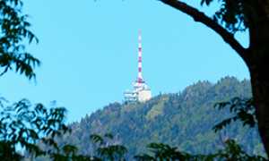 corta antenna montagna