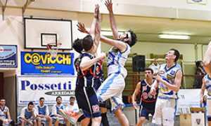 corta basket domo cipir poli canestro