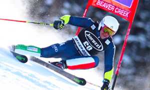 corta blardone bella beaver