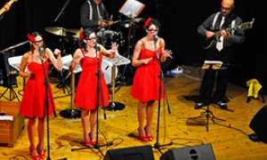 corta blue dolls lions