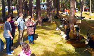 corta capre trasquera sunei