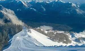 corta domobianca pista neve