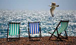 corta estate ombrelloni mare gabbiano