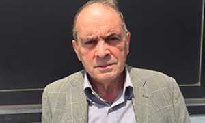 corta gallo bernardino coop nero