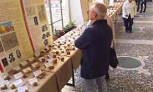 corta mostra pomologica rosmini