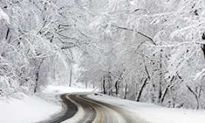 corta neve strada bosco
