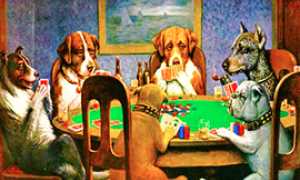 corta poker cani
