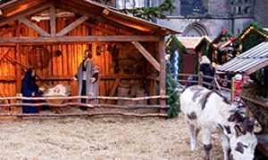 corta presepe vivente asinello