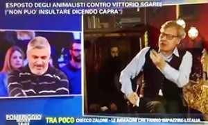 corta sgarbi tv capre