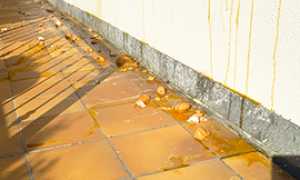 corta uova villa punchia